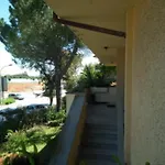 Bed and Breakfast Villino Irma E Con Giardino Vicino Al Mare *